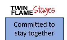 Twin Flame Journey Type Committed to Staying together