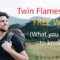 Twin Flame Free Will